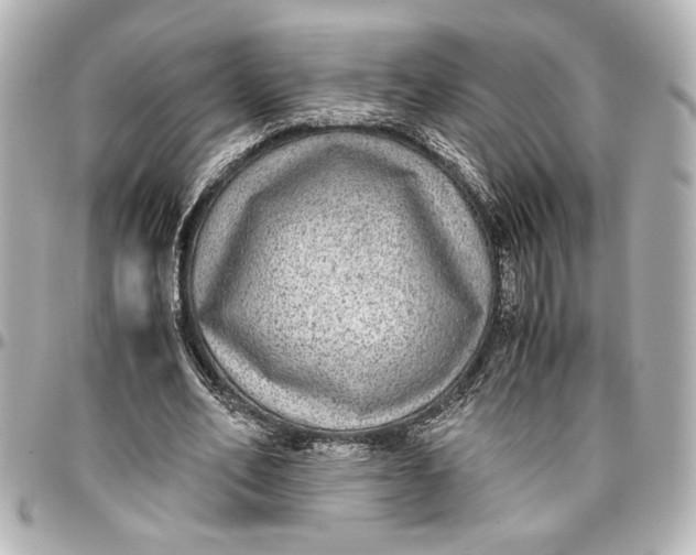 X0000096730582200802261455