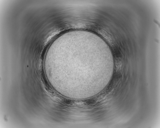 X0000096730583200802261455