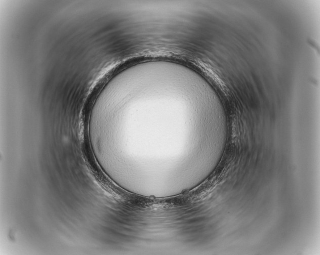 X0000096730584200802261455