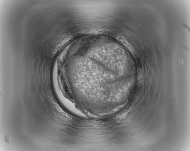 X0000096730585200802261455