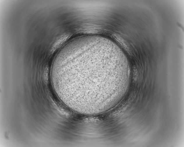 X0000096730586200802261455