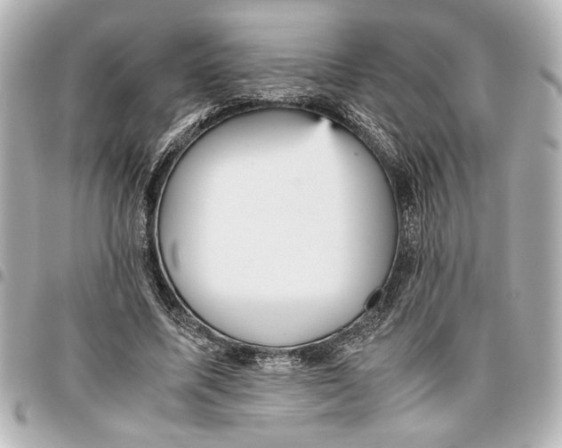 X0000096730587200802261455