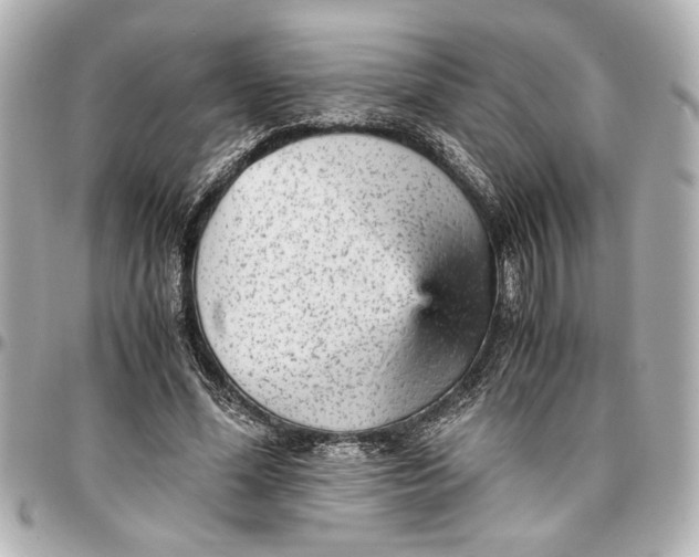 X0000096730588200802261455