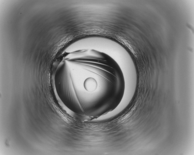 X0000096730589200802261455