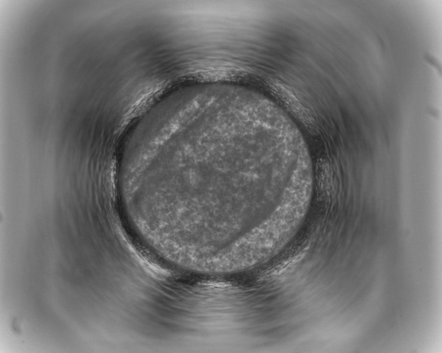 X0000096730590200802261455