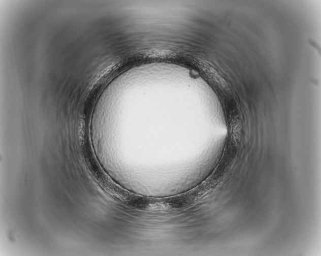 X0000096730591200802261455