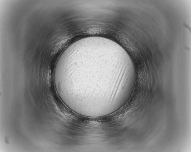 X0000096730592200802261455