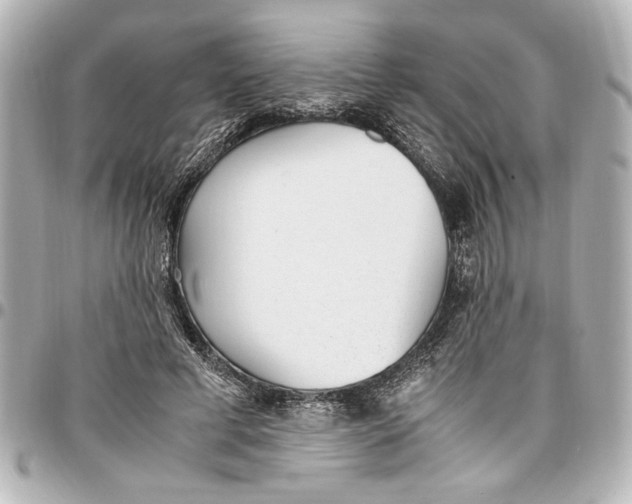 X0000096730593200802261455