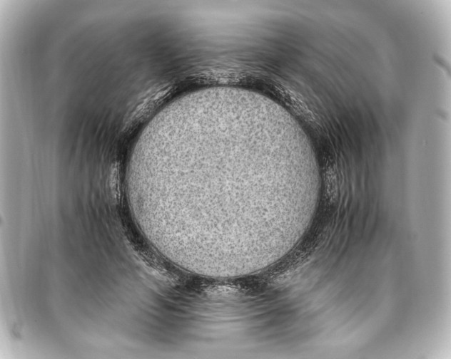 X0000096730594200802261455