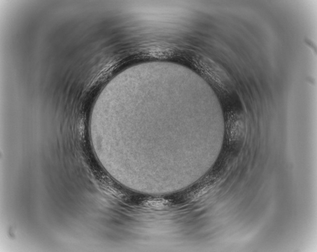 X0000096730595200802261455
