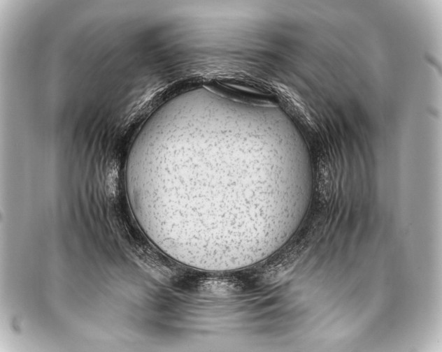X0000096730596200802261455