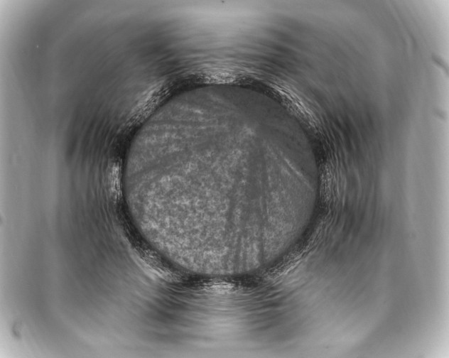 X0000096730598200802261455