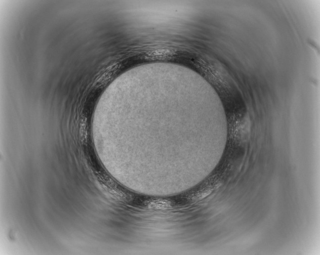 X0000096730599200802261455