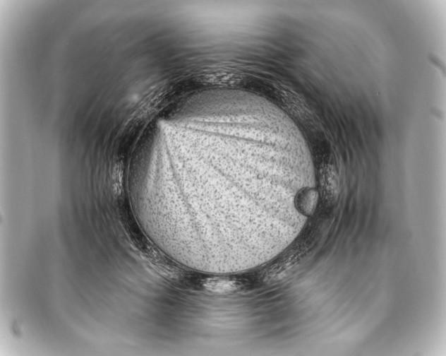 X0000096730602200802261455