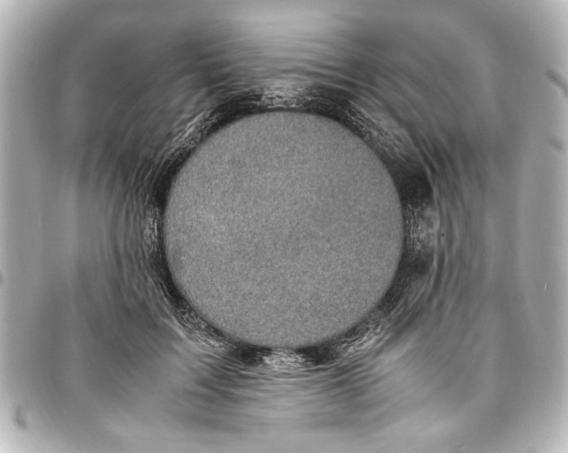 X0000096730603200802261455