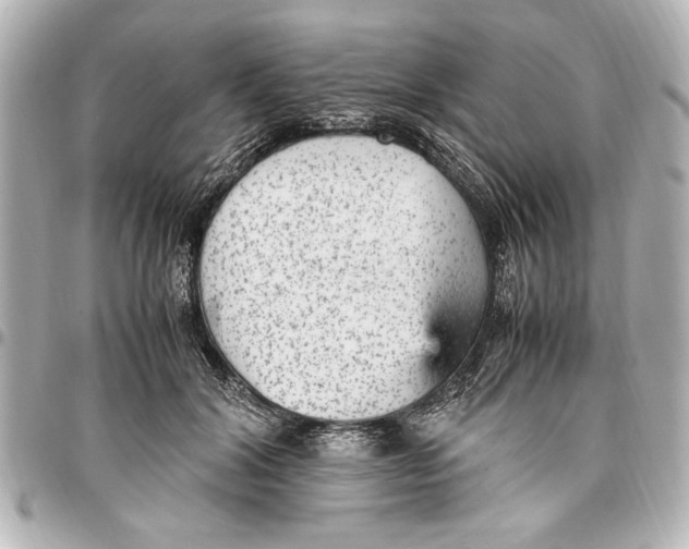 X0000096730604200802261455