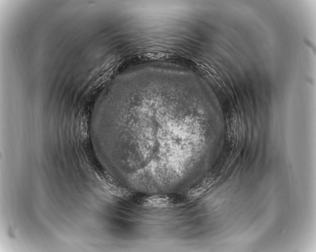 X0000096730606200802261455
