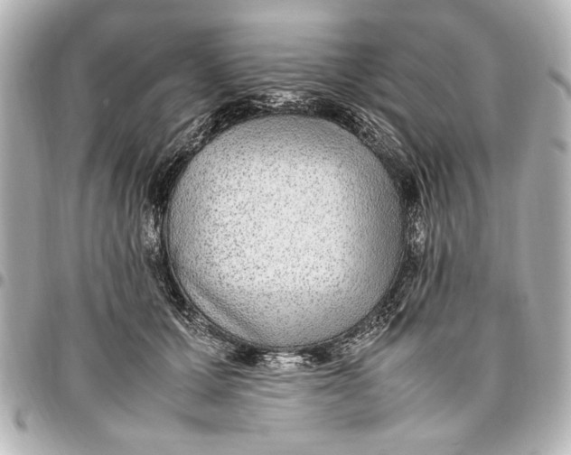 X0000096730607200802261455