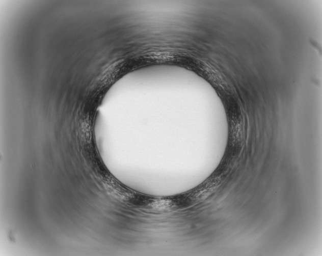 X0000096730609200802261455
