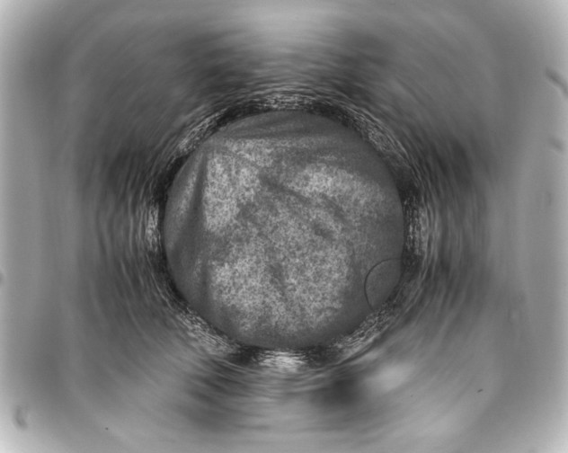X0000096730610200802261454