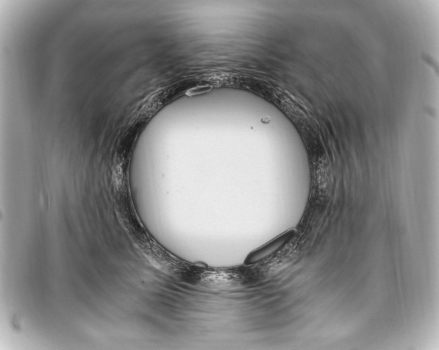 X0000096730611200802261454