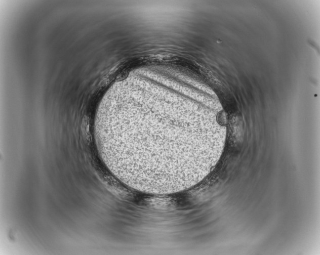 X0000096730615200802261454