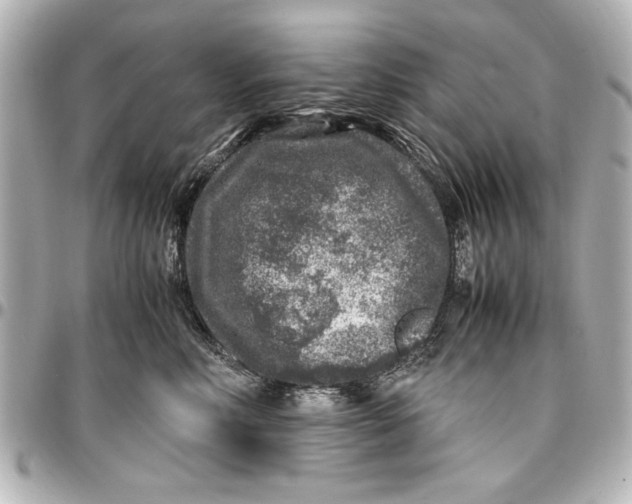 X0000096730618200802261454