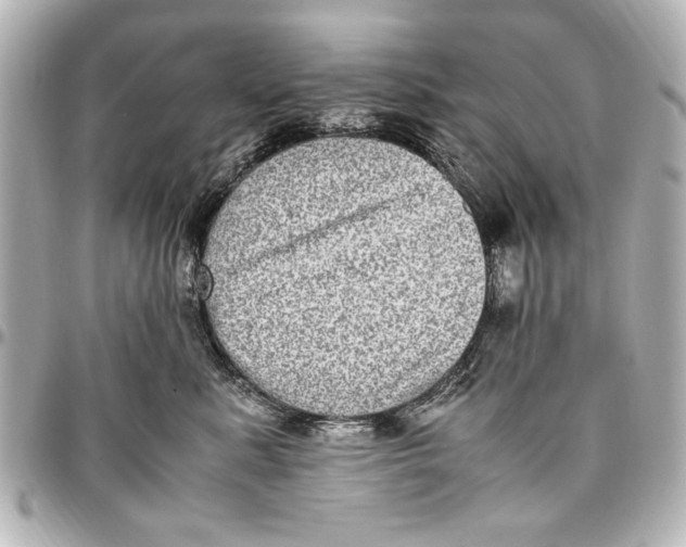 X0000096730619200802261454