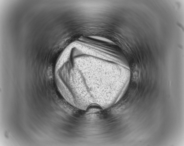 X0000096730620200802261454