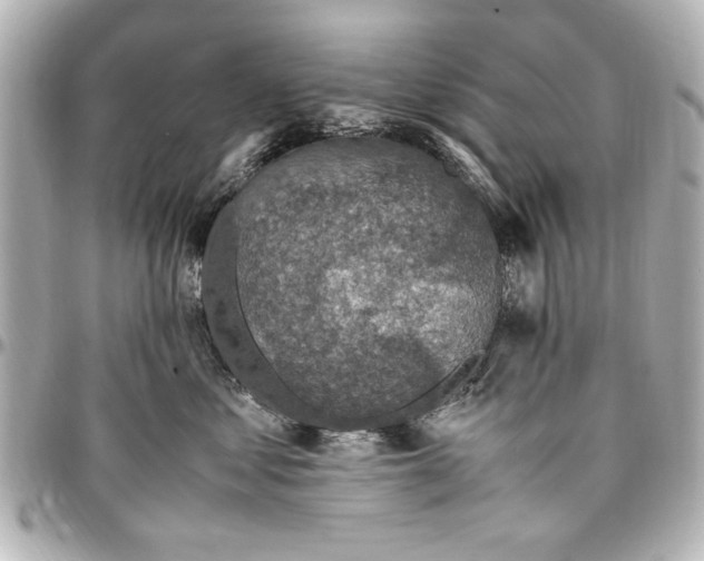 X0000096730621200802261454