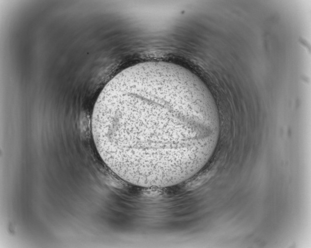 X0000096730624200802261454