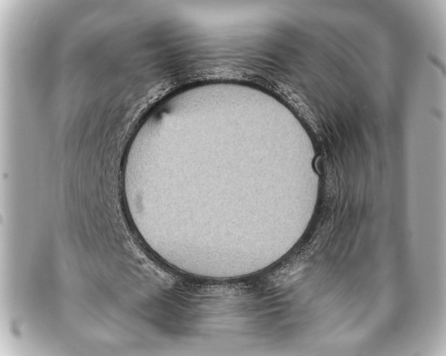 X0000096730625200802261454