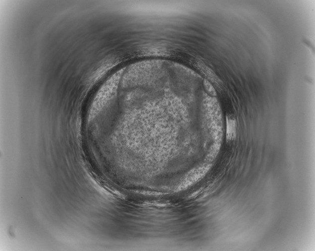 X0000096730627200802261454