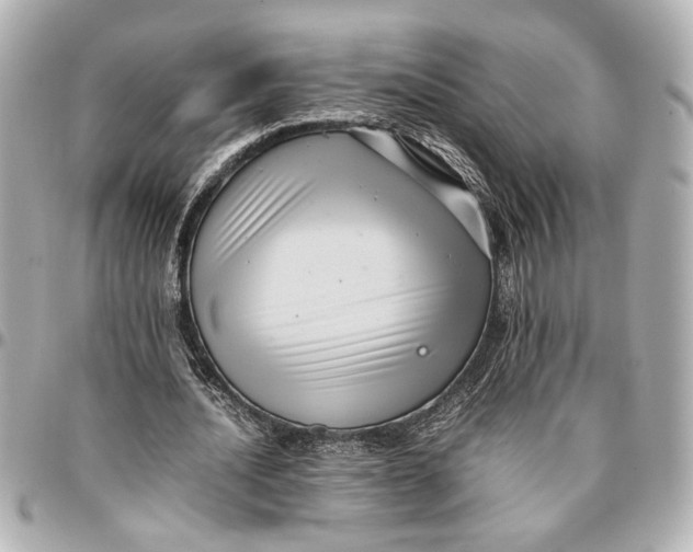 X0000096730628200802261454