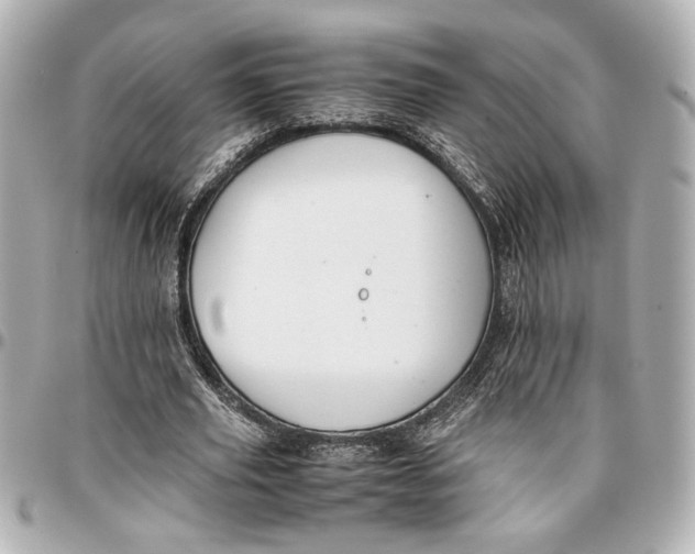 X0000096730629200802261454