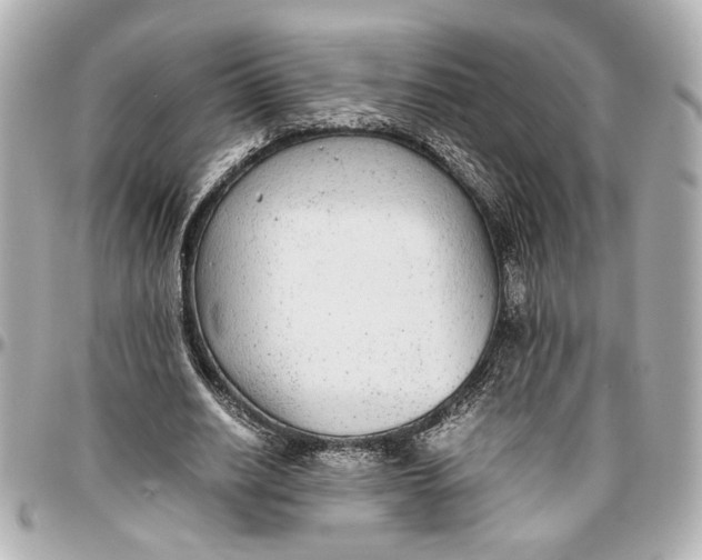 X0000096730630200802261454