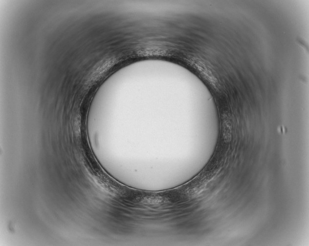 X0000096730631200802261454