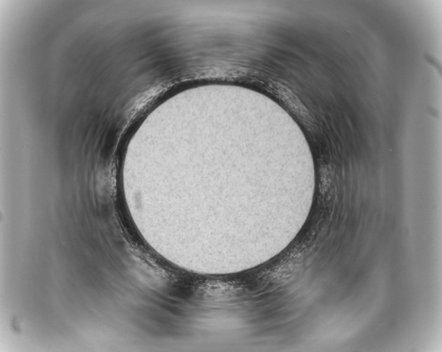 X0000096730632200802261454