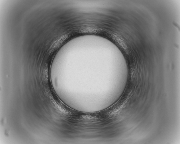 X0000096730633200802261454