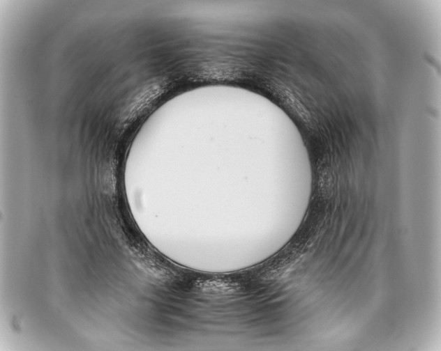 X0000096730635200802261454