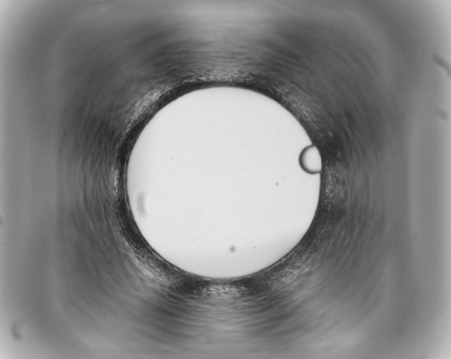 X0000096730636200802261454