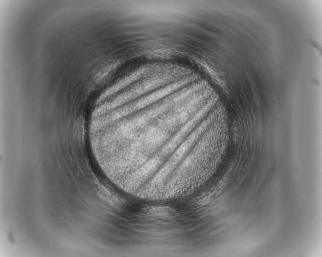 X0000096730637200802261454