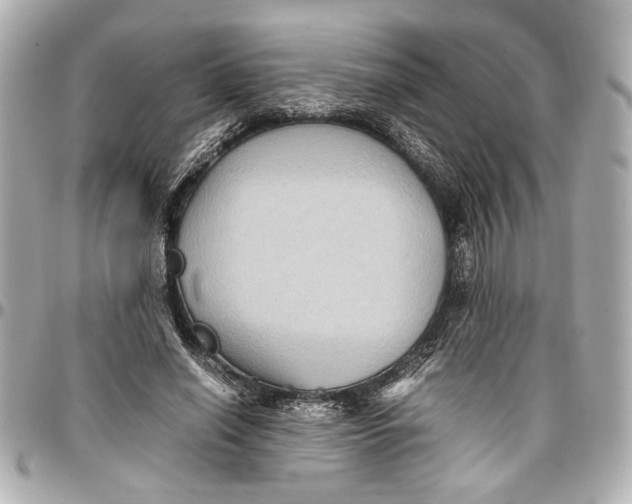 X0000096730638200802261454