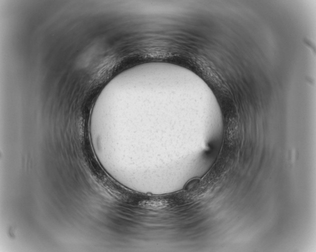 X0000096730639200802261454