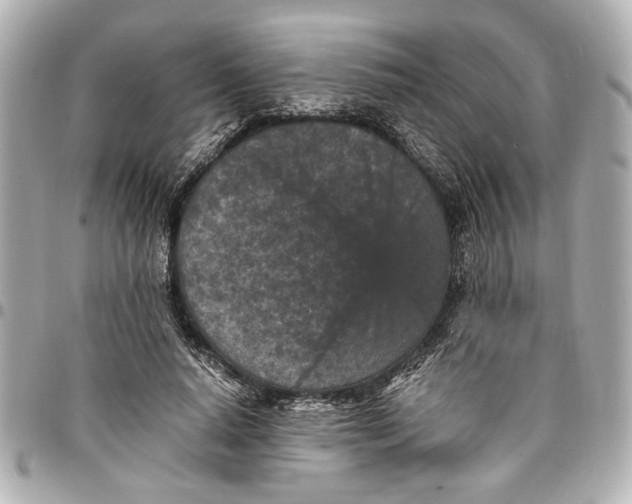 X0000096730640200802261454