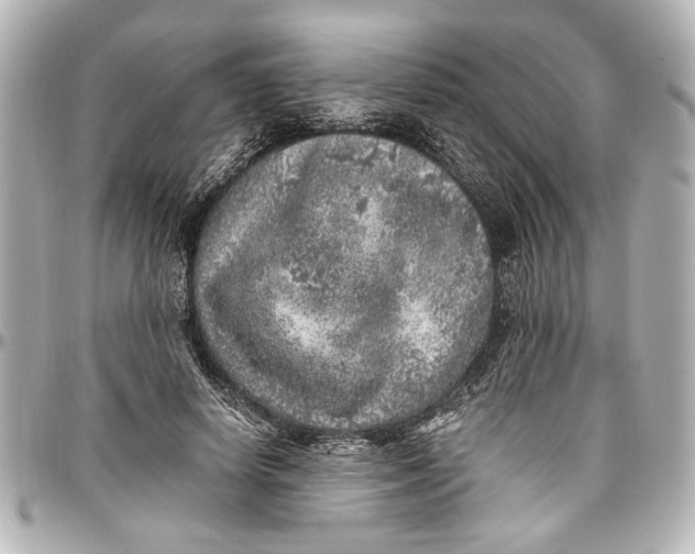 X0000096730642200802261454