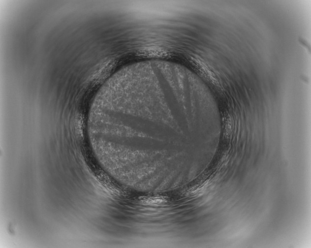 X0000096730643200802261454