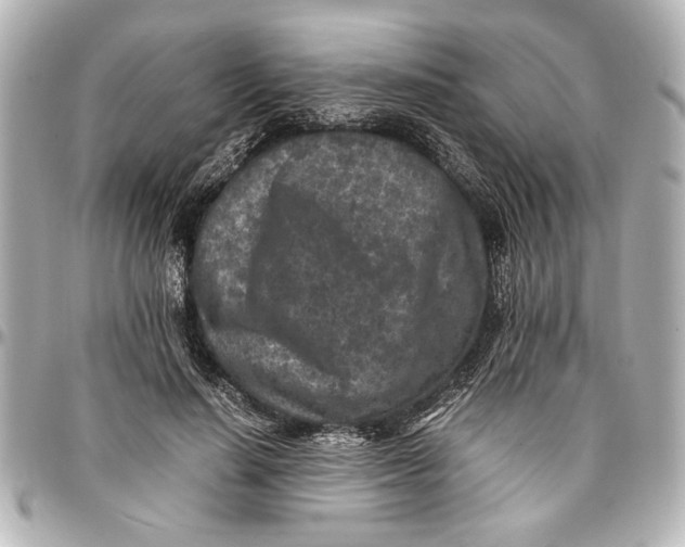 X0000096730644200802261454