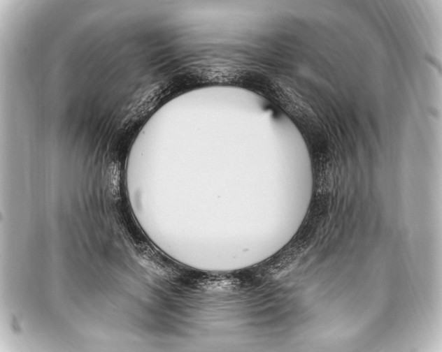 X0000096730646200802261454