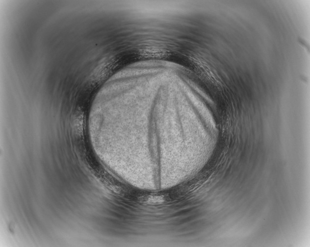 X0000096730647200802261454